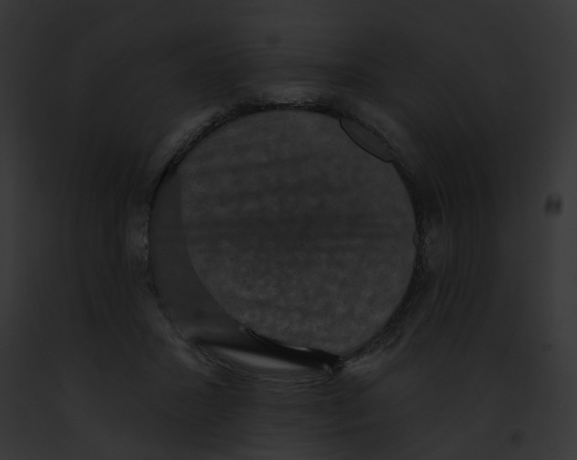 X0000091890407200710031145