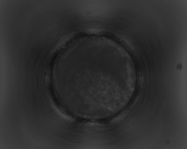 X0000091890408200710031145