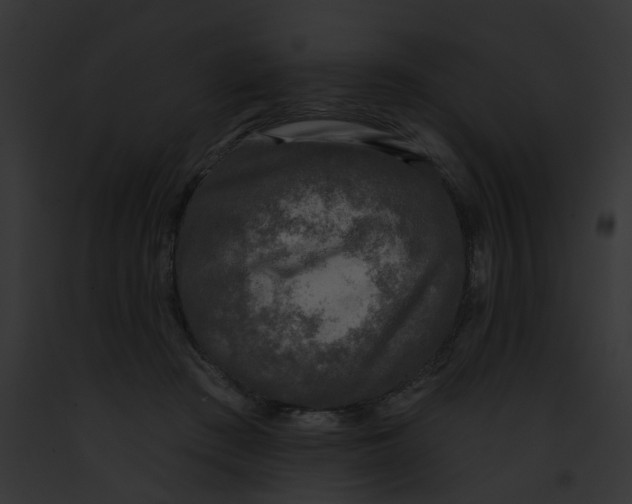 X0000091890409200710031145