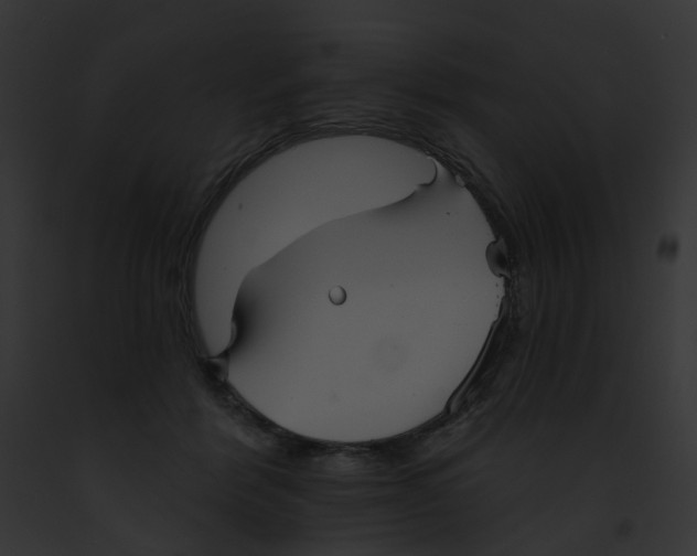 X0000091890412200710031145
