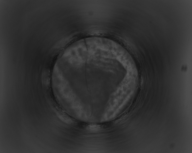 X0000091890413200710031145