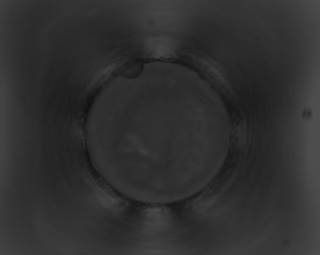 X0000091890415200710031145