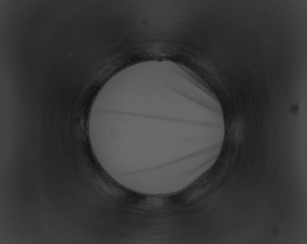 X0000091890418200710031145