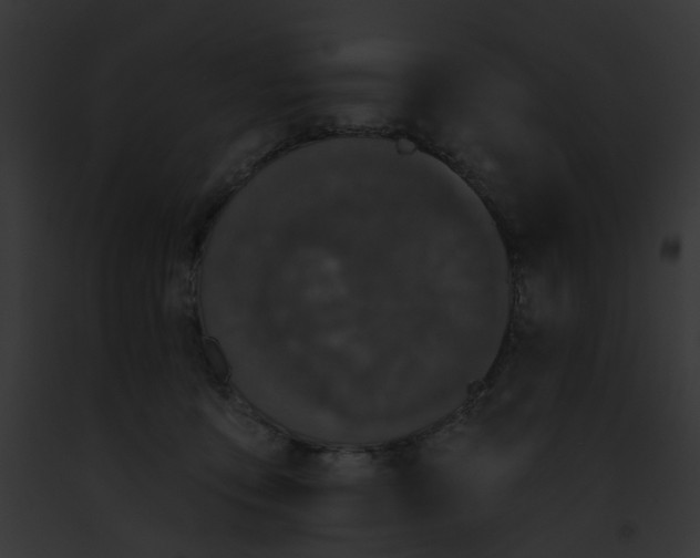 X0000091890419200710031145