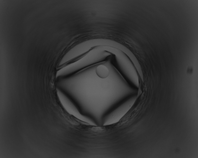 X0000091890421200710031145