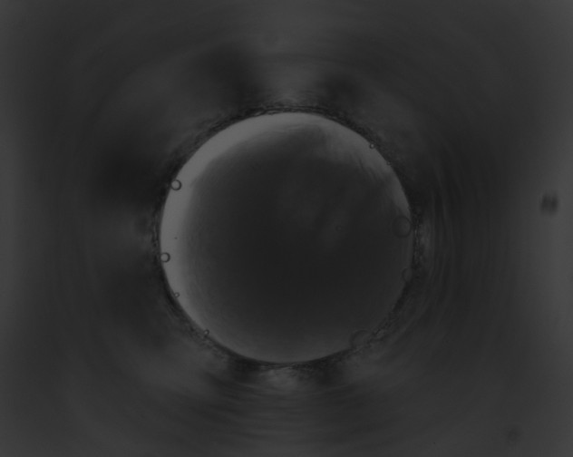 X0000091890423200710031145