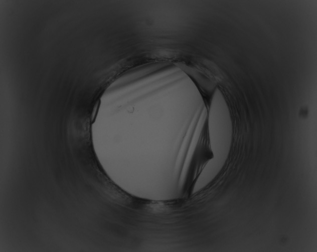X0000091890425200710031145