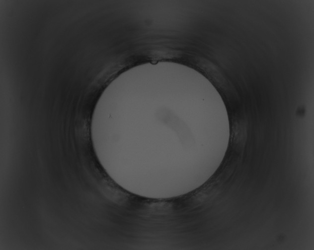 X0000091890426200710031145