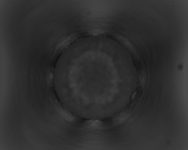 X0000091890427200710031145