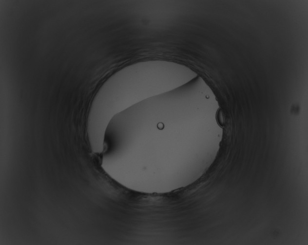 X0000091890428200710031145
