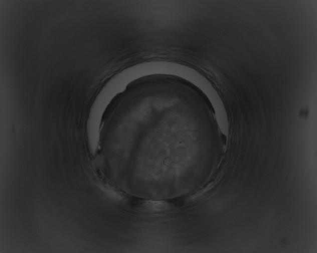 X0000091890429200710031145
