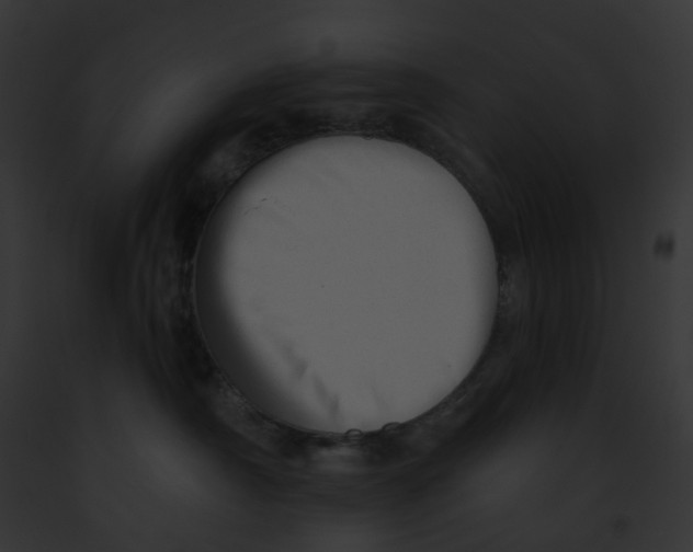 X0000091890430200710031145