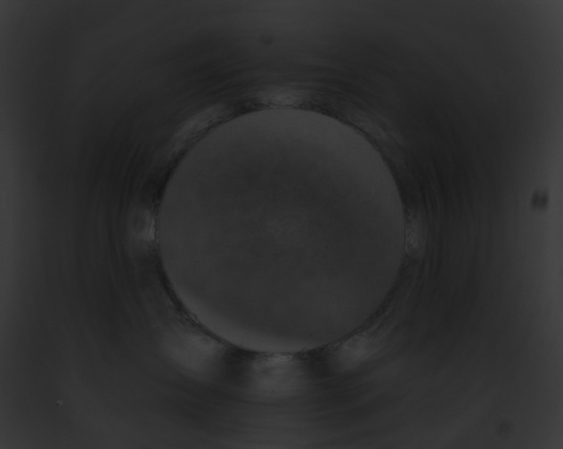 X0000091890431200710031145