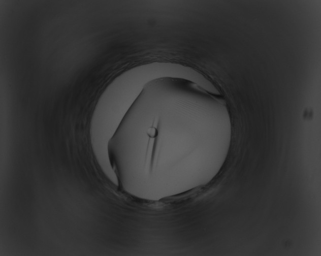 X0000091890432200710031145