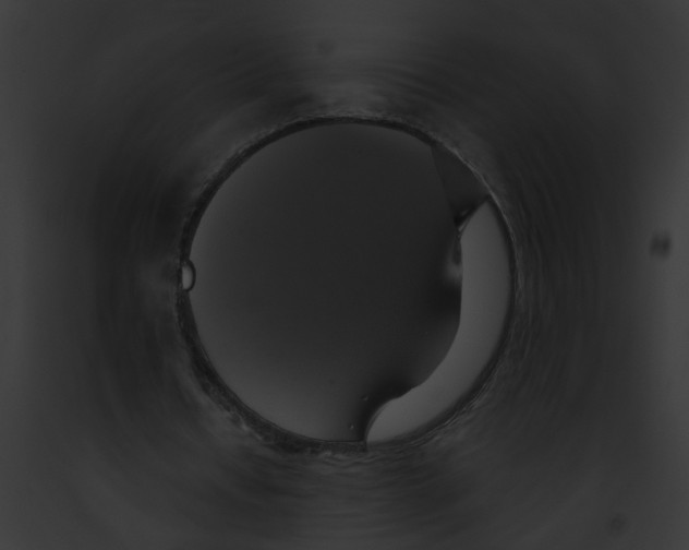 X0000091890434200710031144