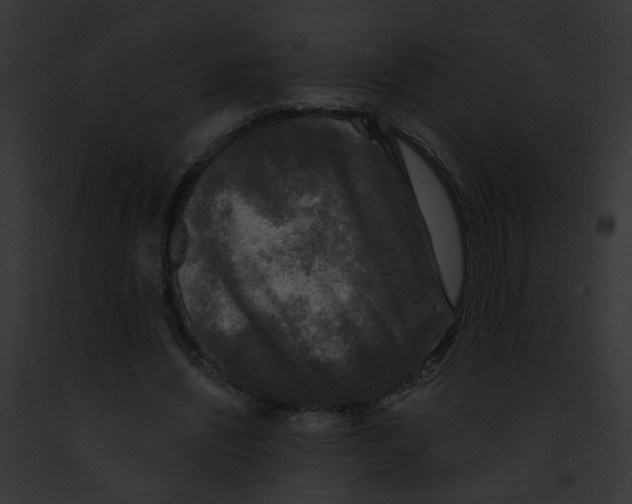 X0000091890444200710031144