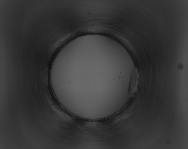 X0000091890446200710031144