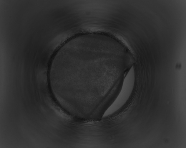 X0000091890447200710031144