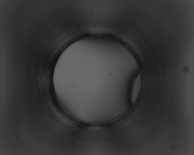 X0000091890448200710031144