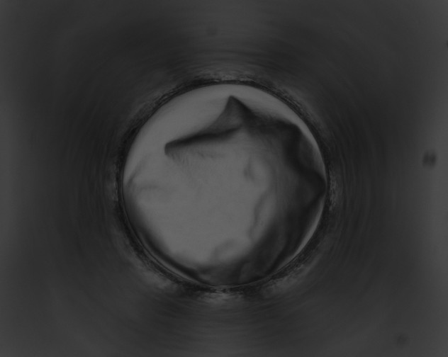 X0000091890453200710031145