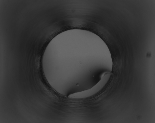 X0000091890454200710031145