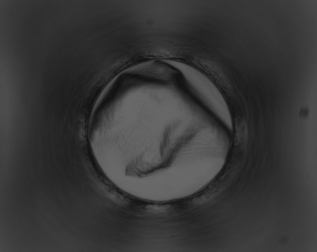 X0000091890457200710031145