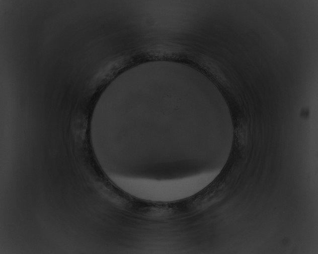 X0000091890458200710031145