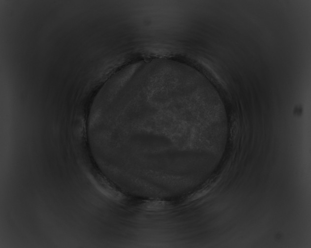 X0000091890459200710031145