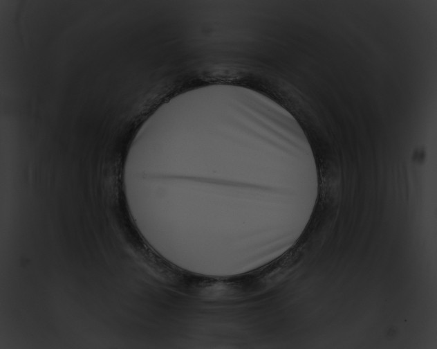 X0000091890460200710031145