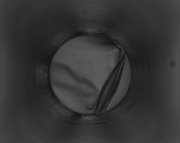 X0000091890461200710031145