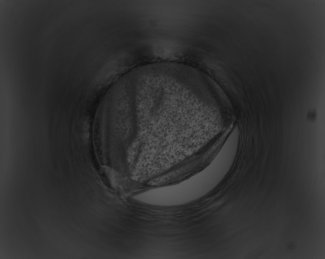 X0000091890466200710031145