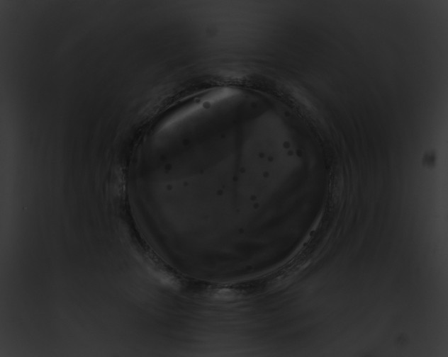 X0000091890467200710031145