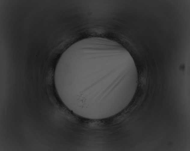 X0000091890468200710031145