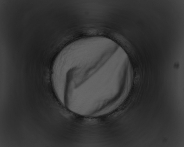 X0000091890469200710031145