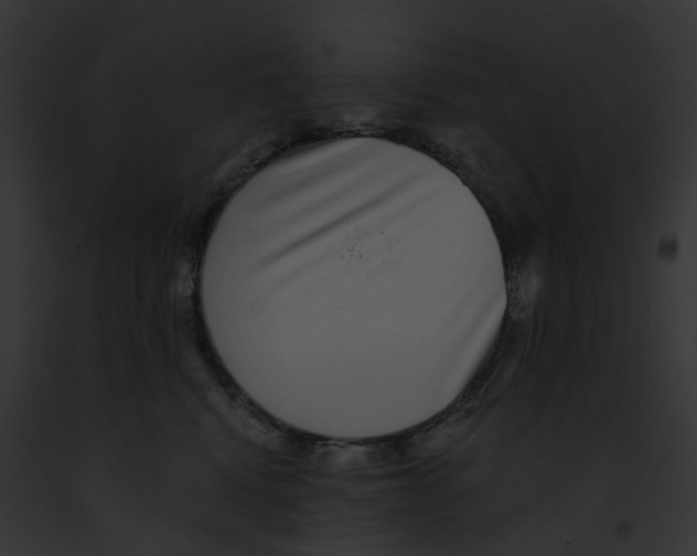 X0000091890472200710031145