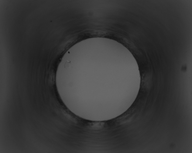 X0000091890474200710031145