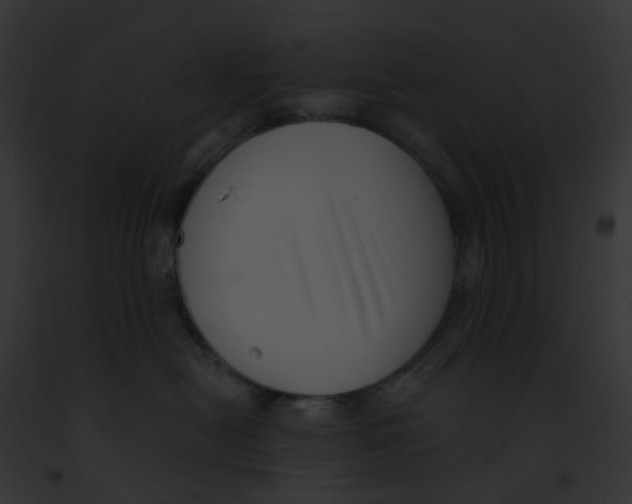 X0000091890478200710031145