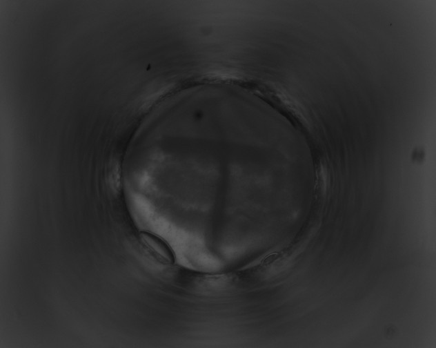 X0000091890479200710031145