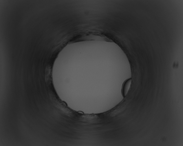 X0000091890480200710031145