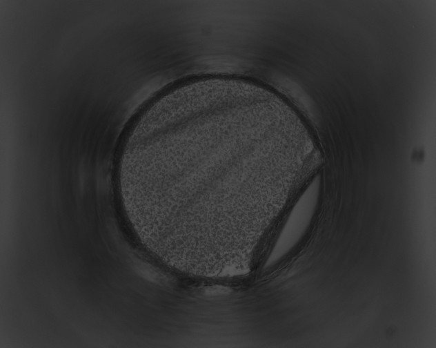 X0000091890483200710031144