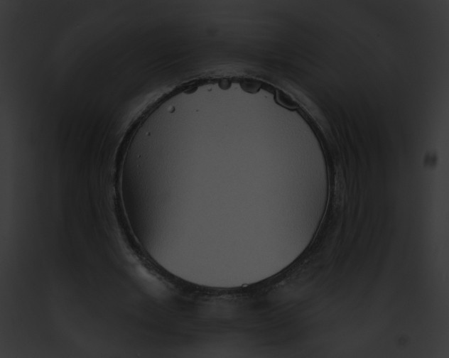 X0000091890485200710031144