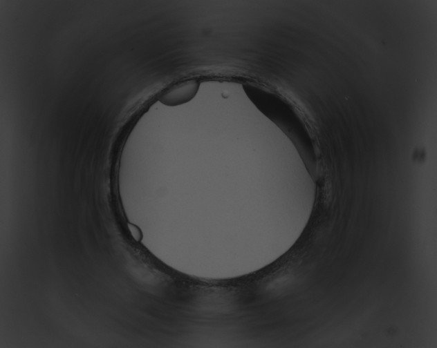 X0000091890486200710031144