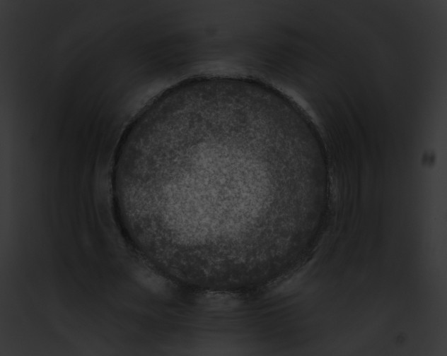 X0000091890487200710031144