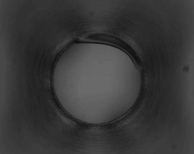 X0000091890489200710031144