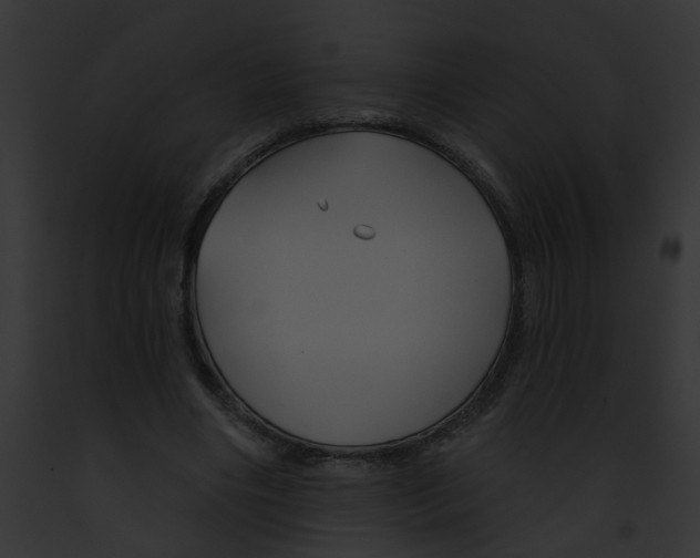 X0000091890490200710031144