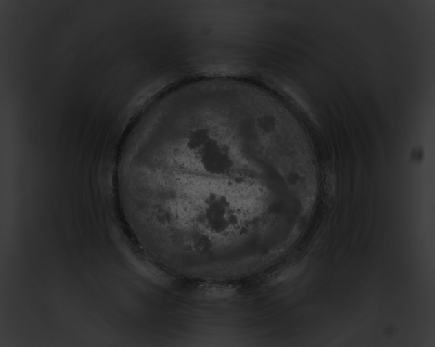 X0000091890491200710031144