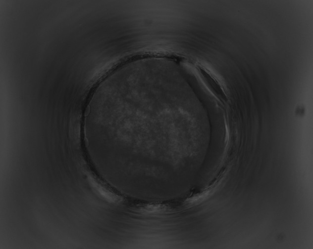 X0000091890493200710031144