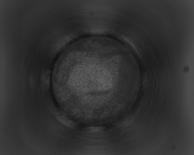 X0000091890495200710031144