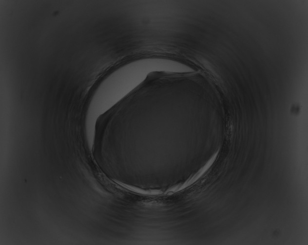 X0000091890500200710031144