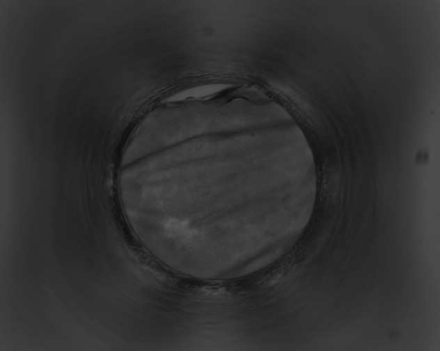 X0000091890502200710031144